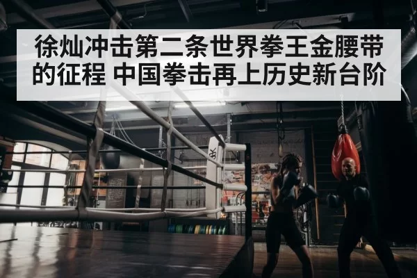 徐灿冲击第二条世界拳王金腰带的征程 中国拳击再上历史新台阶